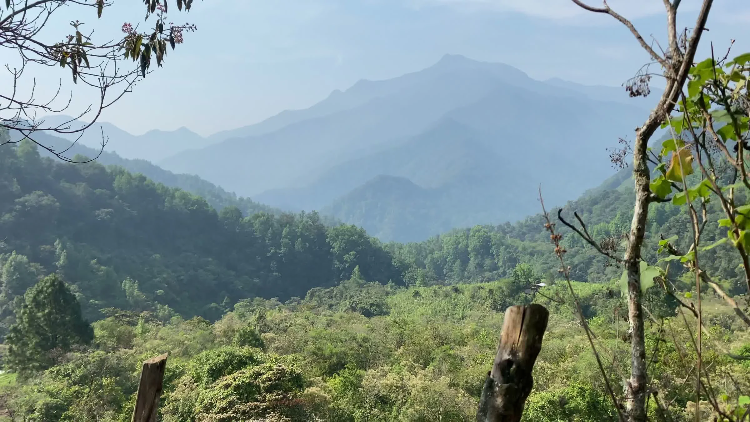 Mountain ridges and cloud forest in the Sierra Mixe